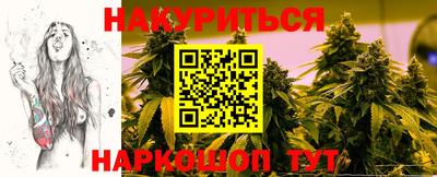 шишки Гатчина