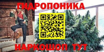 прущий лед Гай