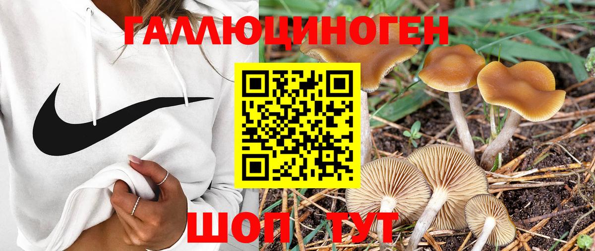 Галлюциногенные грибы ЛСД  Вход с VPN  Галлюциногенные грибы Psilocybine cubensis  Кизилюрт 