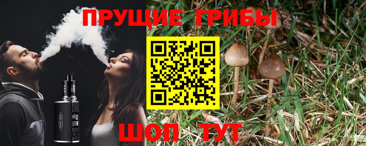 Галлюциногенные грибы мухоморы Кизилюрт
