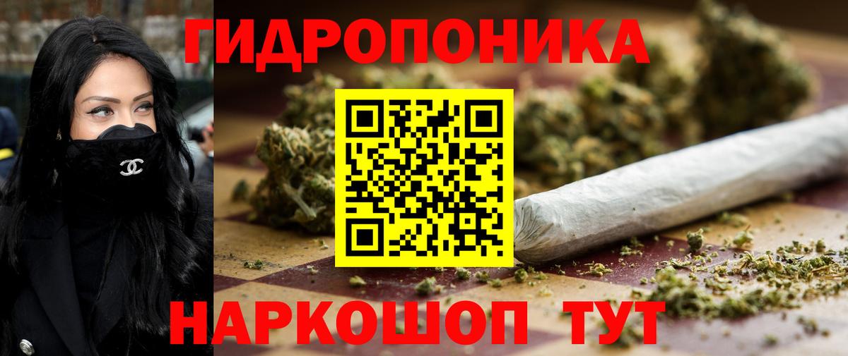 Каннабис Amnesia Кизилюрт